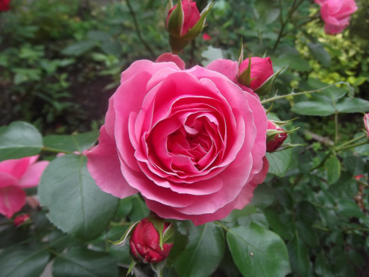 1073447 (a): :2560x1919